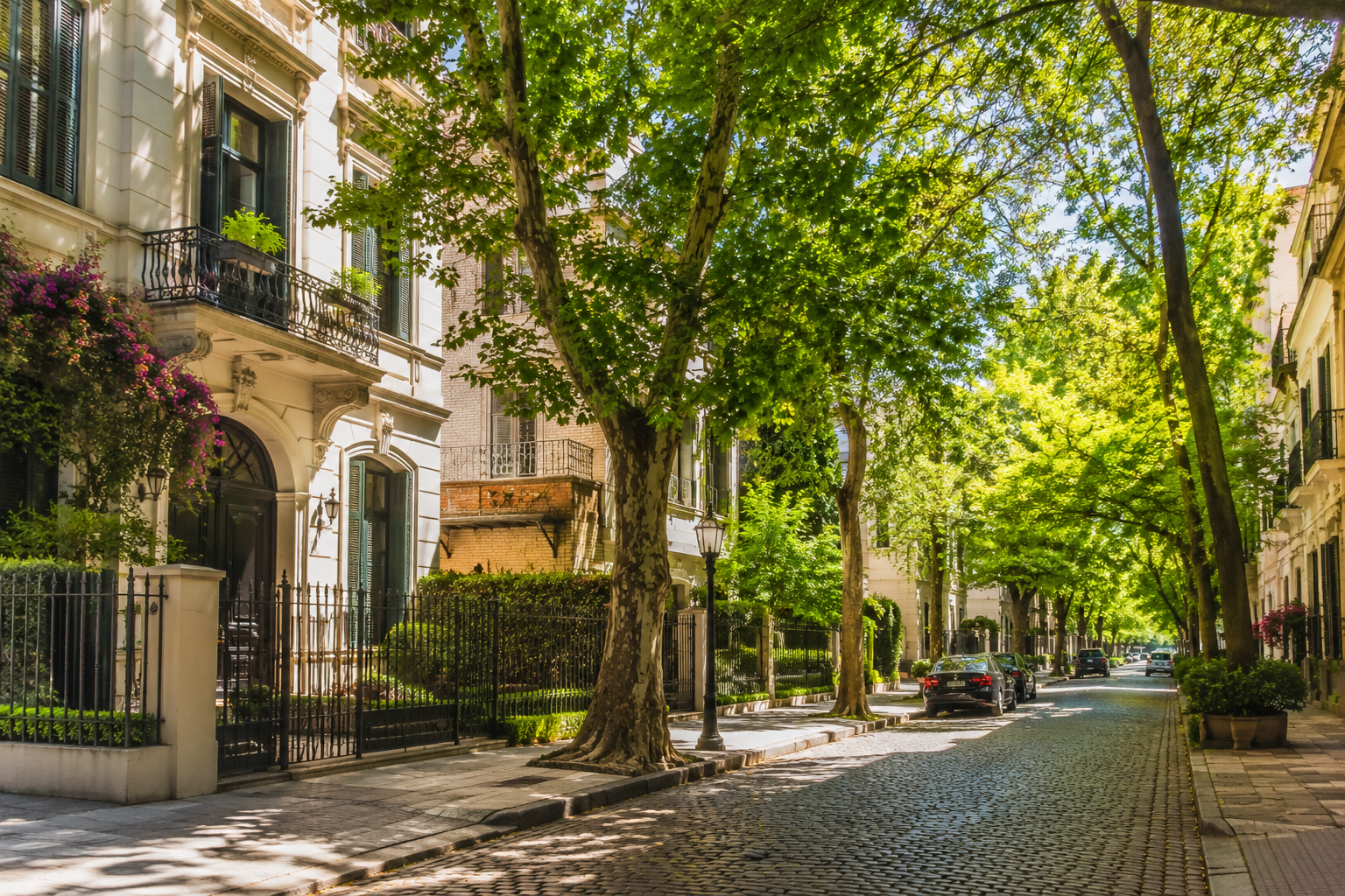 Calle residencial arbolada, Buenos Aires